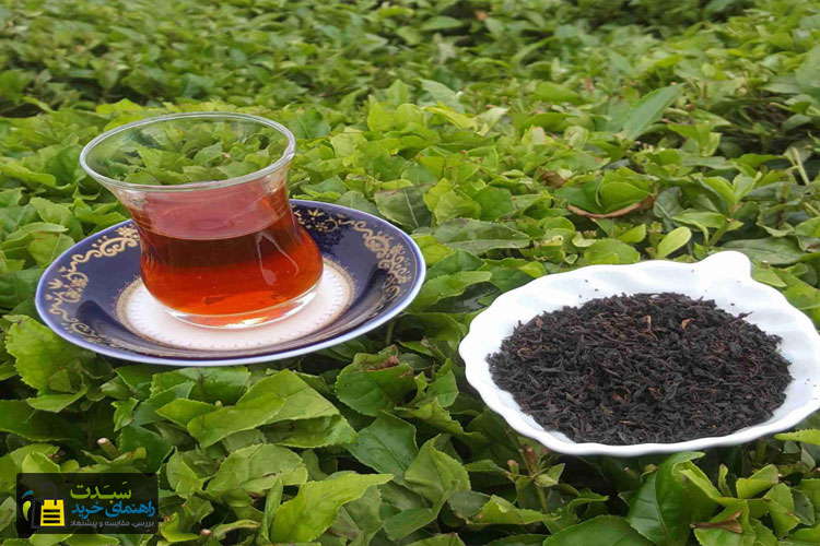 چای-لاهیجان-از-سوغات-گیلان