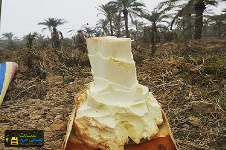 پنیر-نخل،-سوغات-استان-بوشهر